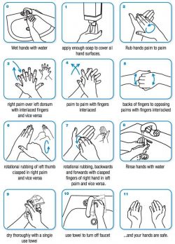 hand-washing guidelines